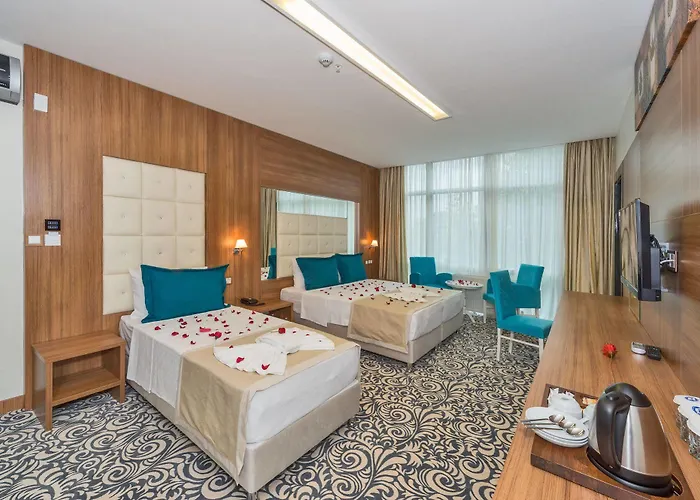 Hotel Business Life Gunesli 3*